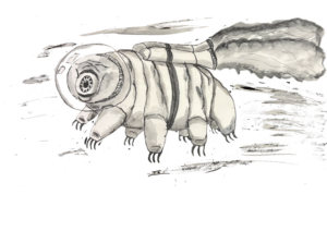 A drawing of a tardigrade wearing a bubble-style space helmet and a jet pack. Jets are coming out of the pack and streaks around the tardigrade indicate it's moving quickly.