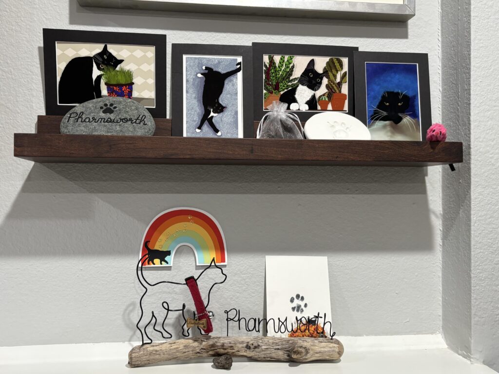 A small memorial to Pharnsworth. A photo ledge containing artwork of a tuxedo cat eating plants stretched out long, and under blankets along with his paw print, a rock with his name on it, his favorite pink mouse toy, and a small bag of his fur. Beneath the ledge, on a mantel, is a driftwood and wire sculpture of a cat silhouette and his name. His red collar hangs from the cat, a rainbow hangs above that, and his ink paw print on paper leans behind it.